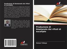 Couverture de Produzione di bioetanolo dai rifiuti di eucalipto
