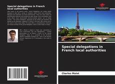 Bookcover of Special delegations in French local authorities