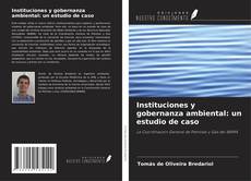 Buchcover von Instituciones y gobernanza ambiental: un estudio de caso