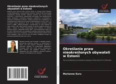 Buchcover von Określanie praw nieokreślonych obywateli w Estonii
