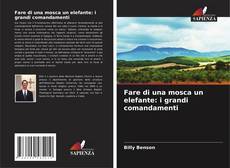 Borítókép a  Fare di una mosca un elefante: i grandi comandamenti - hoz