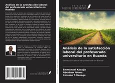 Copertina di Análisis de la satisfacción laboral del profesorado universitario en Ruanda