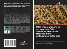 Bookcover of Efficienza agronomica del concime FYM arricchito con roccia fosfatica nella coltivazione della soia