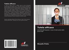 Tutela efficace的封面