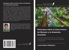 Bookcover of Panorama sobre la Zona Franca de Manaos y la Amazonia brasileña
