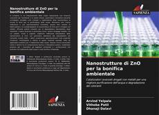 Couverture de Nanostrutture di ZnO per la bonifica ambientale