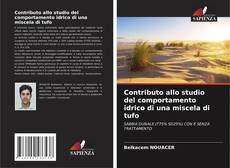 Capa do livro de Contributo allo studio del comportamento idrico di una miscela di tufo 