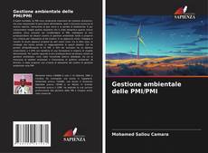 Borítókép a  Gestione ambientale delle PMI/PMI - hoz