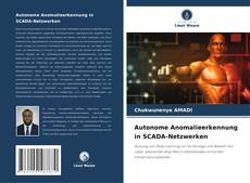 Autonome Anomalieerkennung in SCADA-Netzwerken的封面