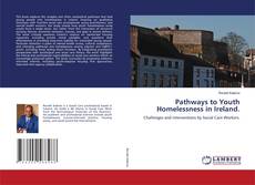 Bookcover of Pathways to Youth Homelessness in Ireland.