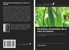 Capa do livro de Parásitos nematodos de la okra en Ghana 