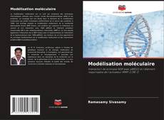 Borítókép a  Modélisation moléculaire - hoz