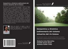 Buchcover von Geoquímica y dinámica sedimentaria del sistema estuarino del río Goiana