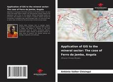 Copertina di Application of GIS to the mineral sector: The case of Ferro da Jamba, Angola