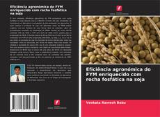 Portada del libro de Eficiência agronómica do FYM enriquecido com rocha fosfática na soja