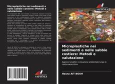 Copertina di Microplastiche nei sedimenti e nelle sabbie costiere: Metodi e valutazione