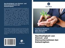 Couverture de Nachhaltigkeit von Kleinst- und Kleinunternehmen bei Katastrophen