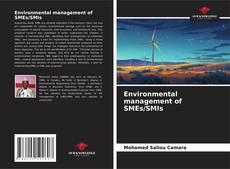 Borítókép a  Environmental management of SMEs/SMIs - hoz