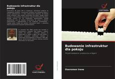 Capa do livro de Budowanie infrastruktur dla pokoju 