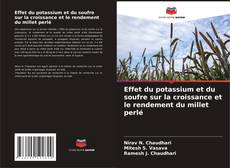 Borítókép a  Effet du potassium et du soufre sur la croissance et le rendement du millet perlé - hoz