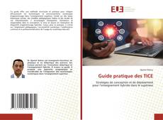 Guide pratique des TICE kitap kapağı