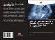 Couverture de Rôle de l'ostéoprotégérine dans le développement et le remodelage des chondrocytes