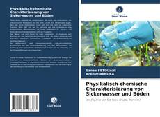 Buchcover von Physikalisch-chemische Charakterisierung von Sickerwasser und Böden