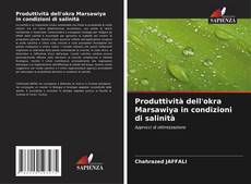 Buchcover von Produttività dell'okra Marsawiya in condizioni di salinità