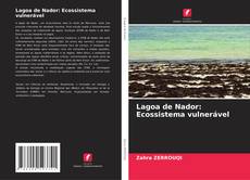 Capa do livro de Lagoa de Nador: Ecossistema vulnerável 