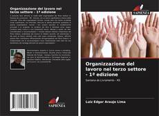 Copertina di Organizzazione del lavoro nel terzo settore - 1ª edizione