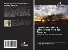 Capire l'insicurezza nell'estremo nord del Camerun kitap kapağı