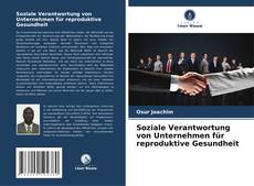 Copertina di Soziale Verantwortung von Unternehmen für reproduktive Gesundheit