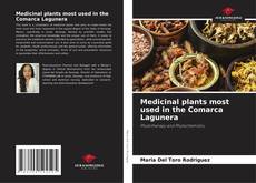 Borítókép a  Medicinal plants most used in the Comarca Lagunera - hoz