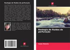 Copertina di Reologia de fluidos de perfuração