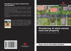 Capa do livro de Plundering of state-owned land and property 