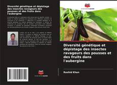Borítókép a  Diversité génétique et dépistage des insectes ravageurs des pousses et des fruits dans l'aubergine - hoz