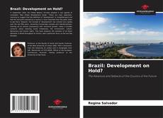Buchcover von Brazil: Development on Hold?