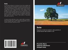 Обложка Soia