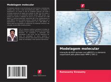 Copertina di Modelagem molecular