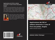 Capa do livro de Applicazione dei SIG al settore minerario: il caso di Ferro da Jamba, Angola 