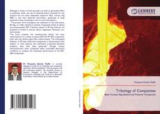 Buchcover von Tribology of Composites
