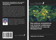 Copertina di Dos pilares económicos Las acacias sudanesas auténticas en vías de desaparición