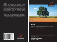 Soja的封面