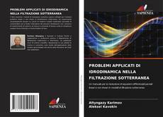 Buchcover von PROBLEMI APPLICATI DI IDRODINAMICA NELLA FILTRAZIONE SOTTERRANEA