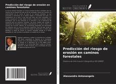 Bookcover of Predicción del riesgo de erosión en caminos forestales