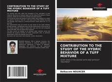 Обложка CONTRIBUTION TO THE STUDY OF THE HYDRIC BEHAVIOR OF A TUFF MIXTURE