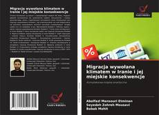 Buchcover von Migracja wywołana klimatem w Iranie i jej miejskie konsekwencje