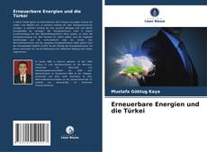Couverture de Erneuerbare Energien und die Türkei