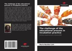 Bookcover of The challenge of the educational process in incubation practice