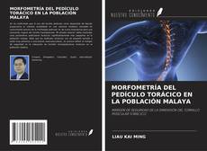 Buchcover von MORFOMETRÍA DEL PEDÍCULO TORÁCICO EN LA POBLACIÓN MALAYA